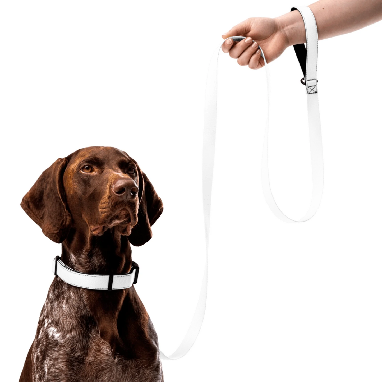Personalized Pet Collar & Leash Set | Shazory