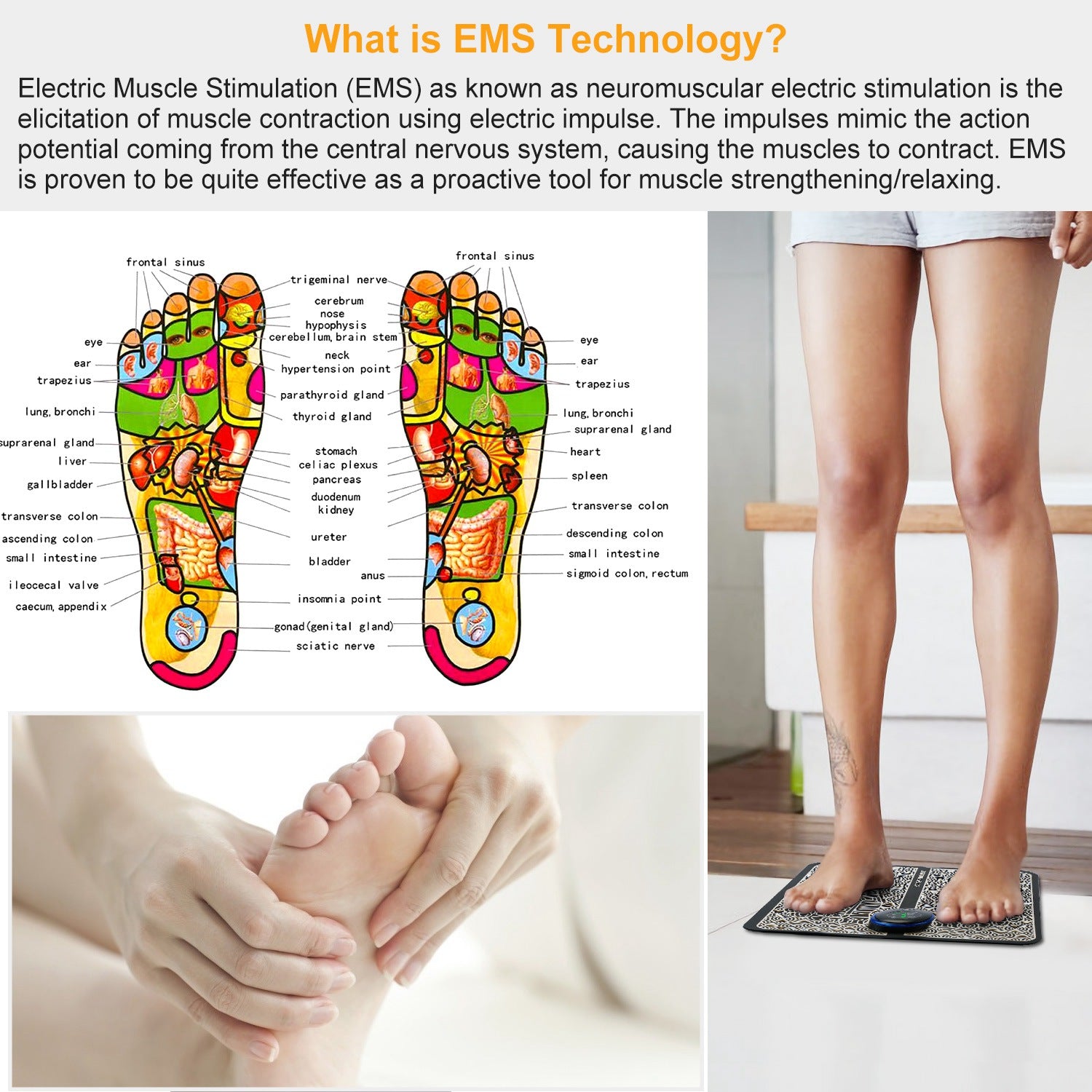Shazory EMS foot massage pad rolled up view