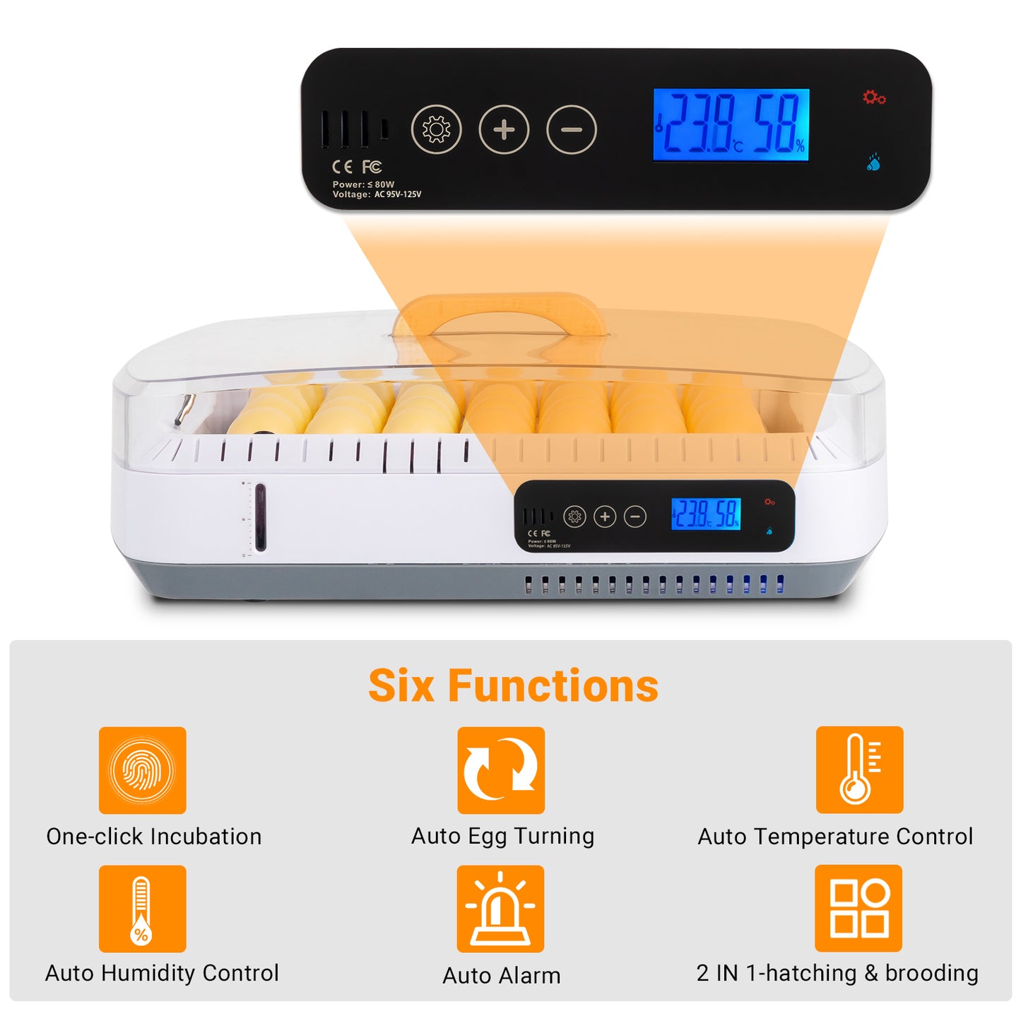 Shazory 35-egg incubator interior egg tray detail