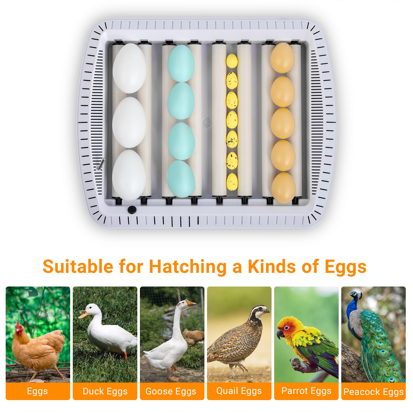 Shazory egg incubator turning mechanism close-up