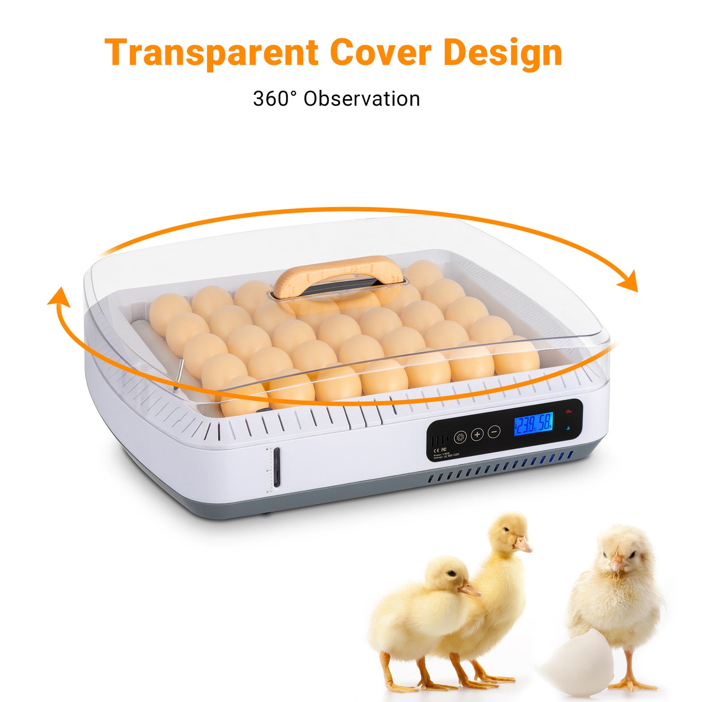 Shazory egg incubator dimensions and scale view
