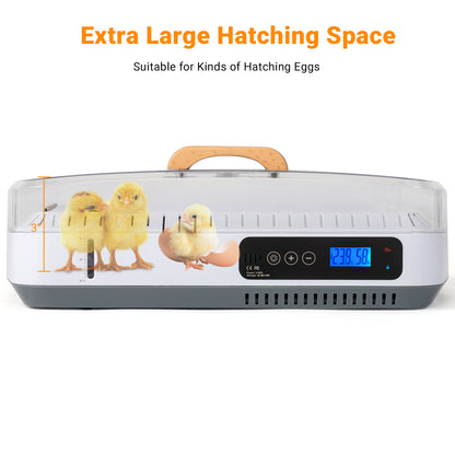 Shazory 35-egg incubator control panel close-up