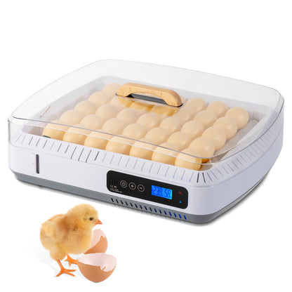 Shazory 35-egg automatic incubator side angle view