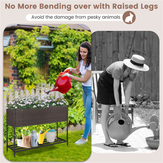 Shazory raised rattan planter front view