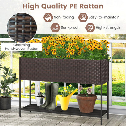 Shazory rattan planter dimensions view