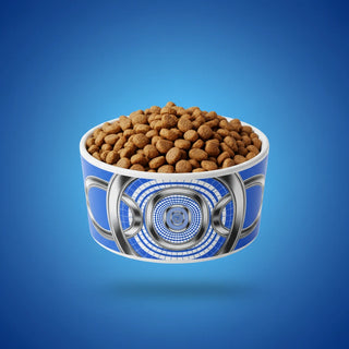 Shazory Personalized Pet Bowl, customizable with your own photo, available at getshazory.com