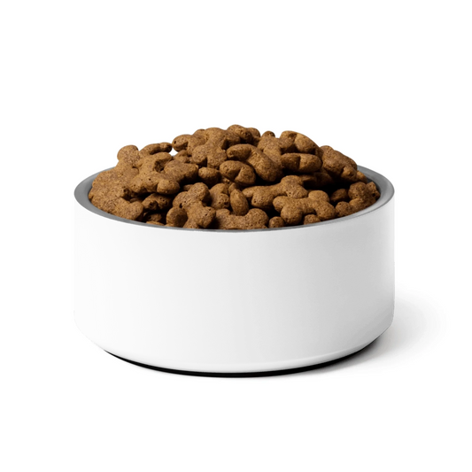 Custom pet bowl shown in use — cat bowl made for everyday styling