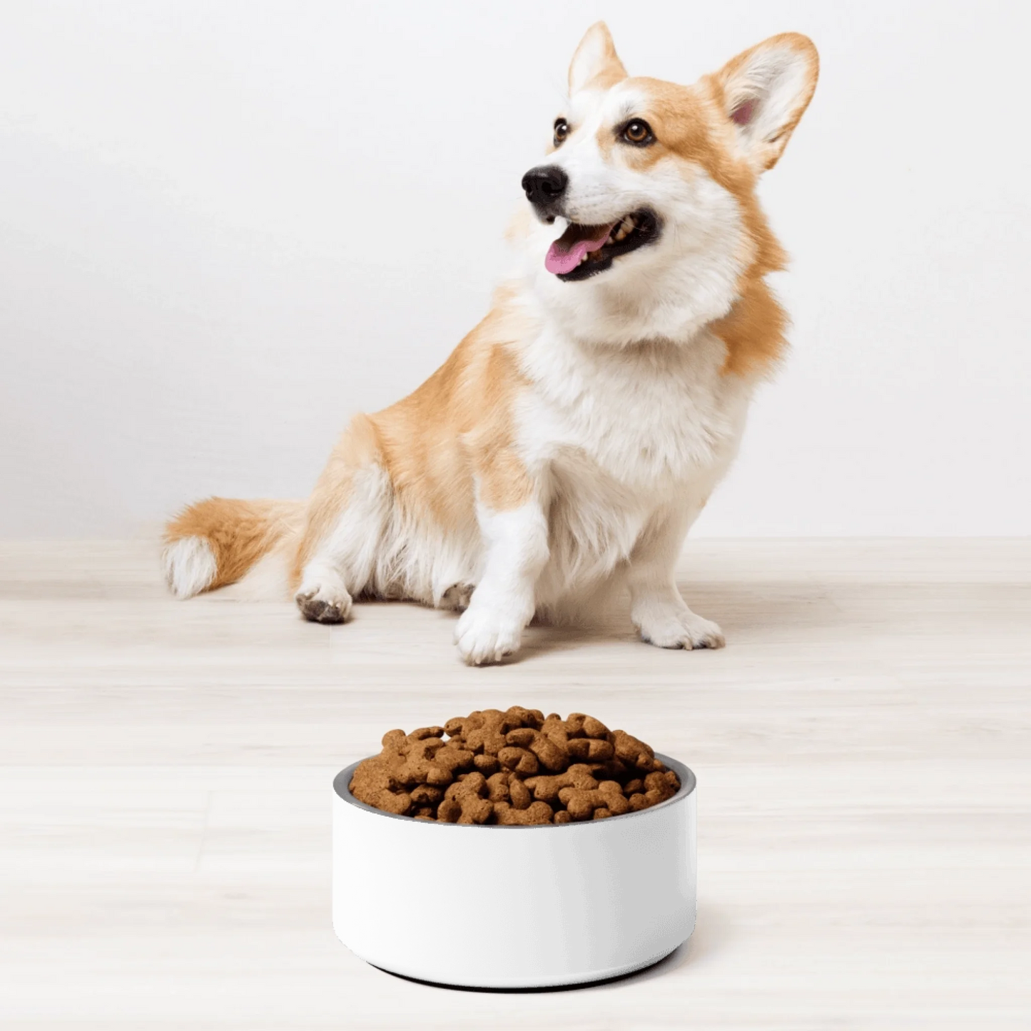 Made-to-order Shazory pet bowl — personalized cat bowl gift