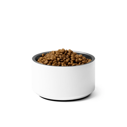 Lifestyle styling of personalized pet bowl — cat bowl ready for daily use