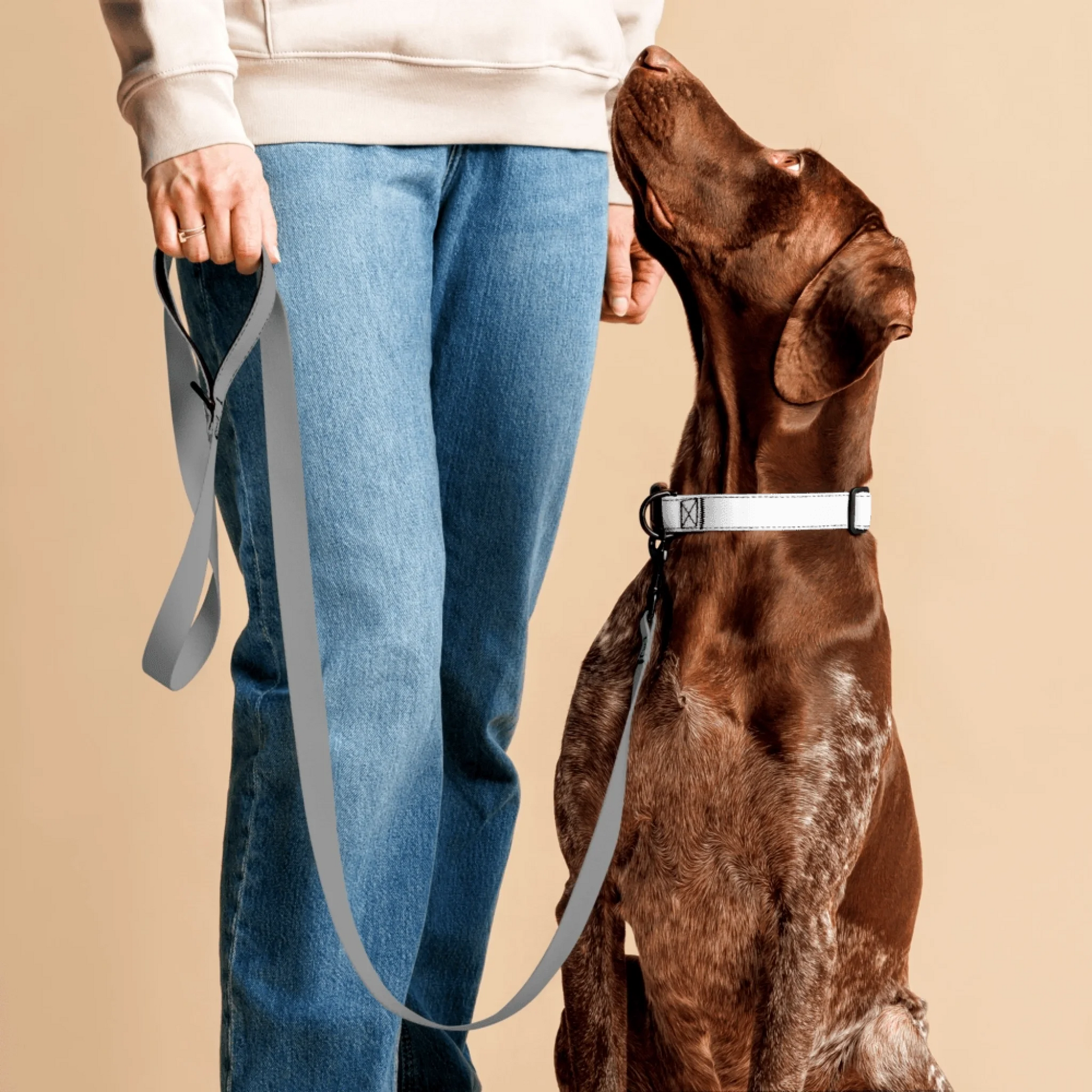 Shazory Custom Pet Collar — personalized name and design wrapped around full length