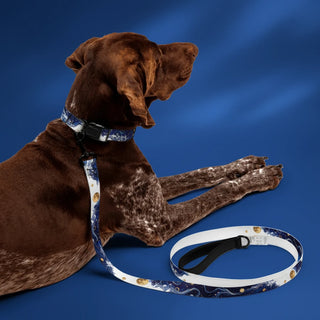 Shazory Personalized Pet Leash, customizable with your own photo, available at getshazory.com
