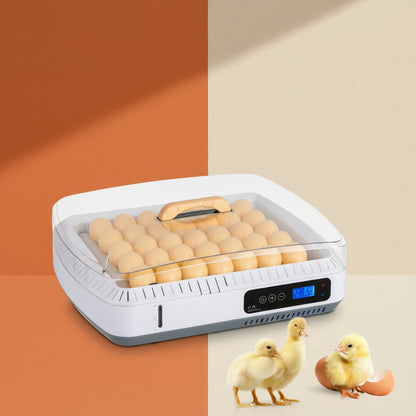 Shop a 35-egg automatic incubator with egg turning, adjustable temperature and humidity control, water shortage alarm, and clear viewing cover. Free shipping.