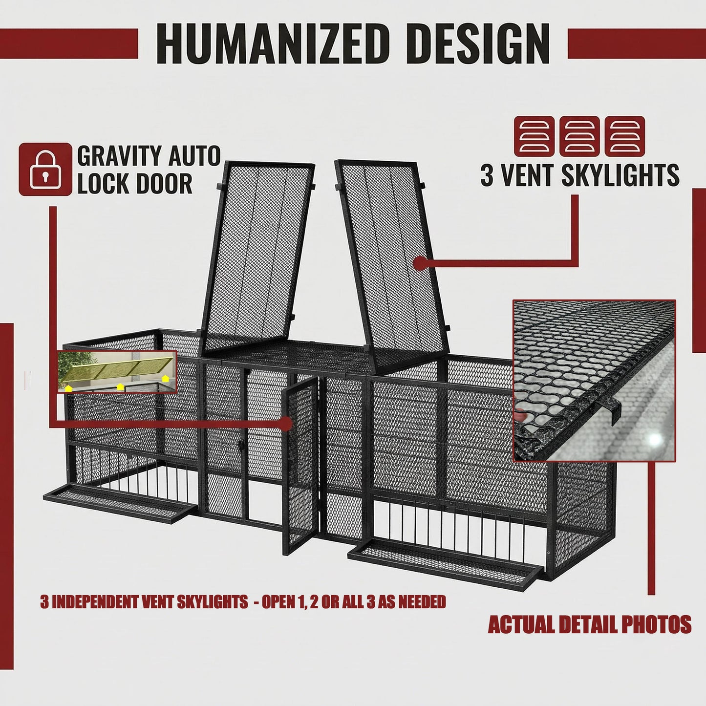 Shazory chicken coop interior space and frame detail